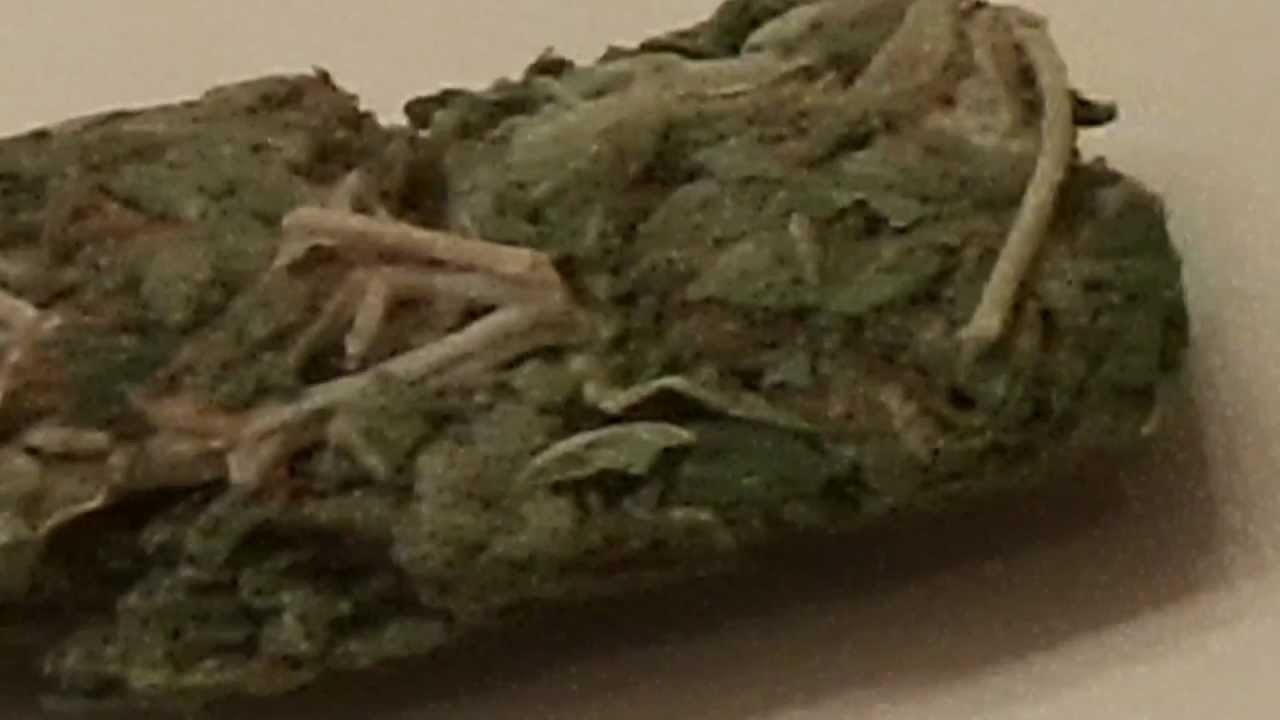 A Quick Look At Weed: AK47