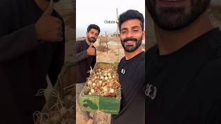 Onions plants ❤️ #palestine #gaza #freepalestine #freegaza #shorts #nobatidao
