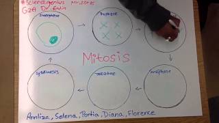 Mitosis Rap GZA Dr.Endin PBS