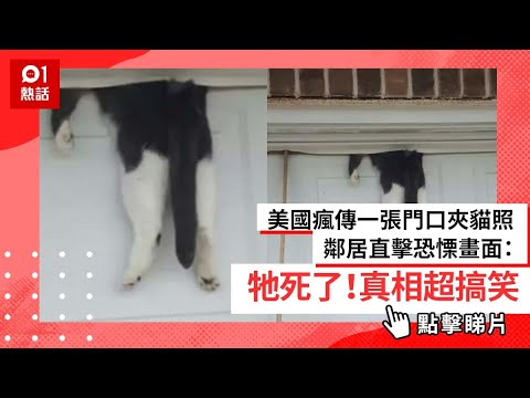 恐悚