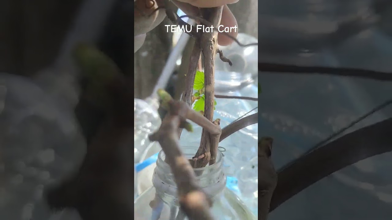 What a difference a cart makes on the homestead.  Small homestead equipment. 