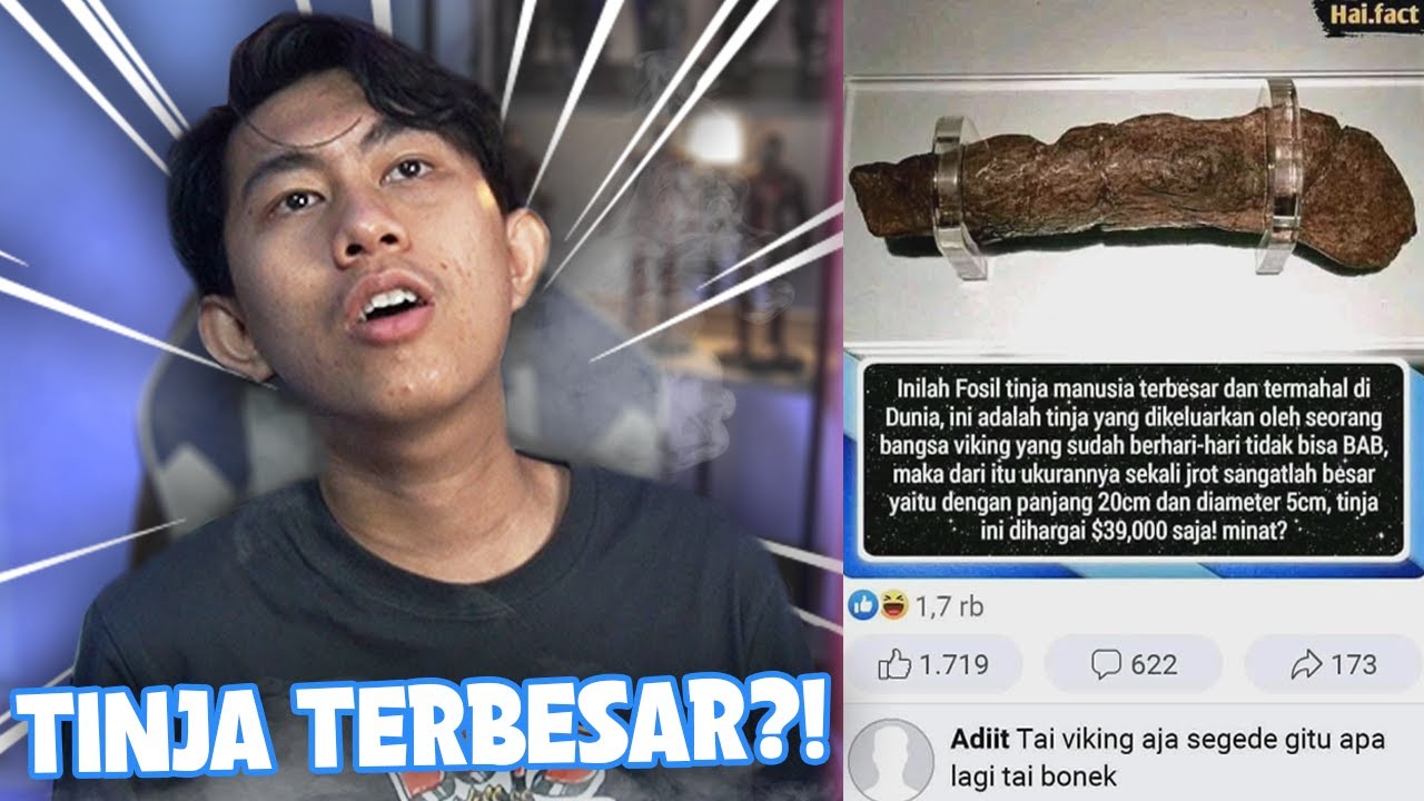 TINJA MANUSIA TERBESAR DAN TERMAHAL DI DUNIA??!! - YouTube