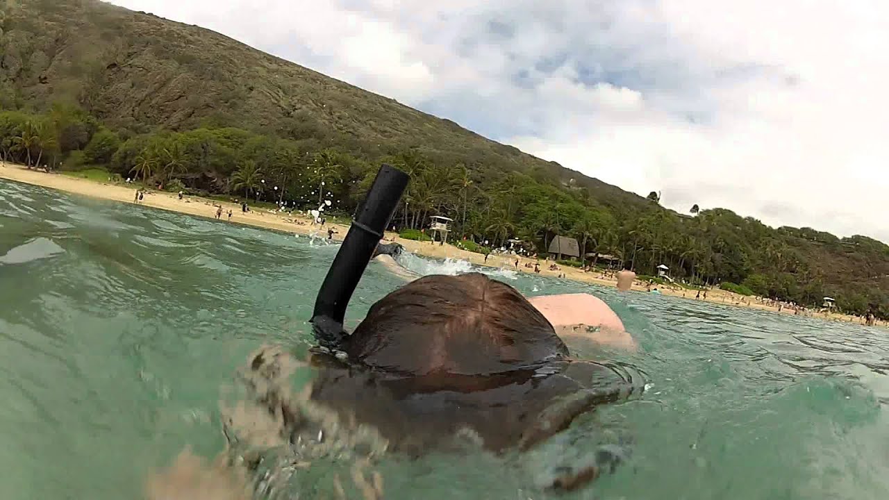Snorkeling at Hanauma Bay Oahu, Hawaii 2012 YouTube