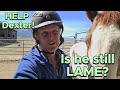 🐎 Is this horse still LAME? Help us decide! 🐎