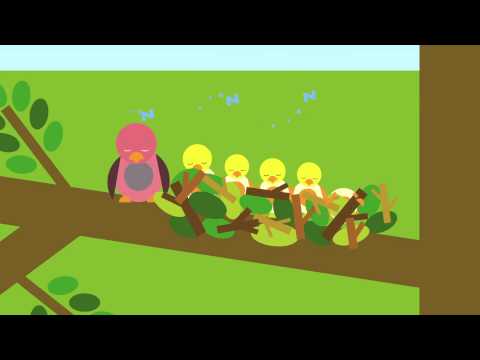 The Noisy Ducks