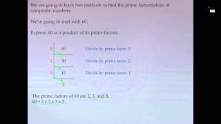 Chapter 1, Lesson 2 (6th Grade)