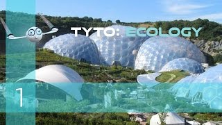 Tyto Ecology | Adorable Ecology Simulator | Tyto Ecology Tutorial