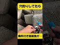 条件付き高級魚が…#shorts #穴釣り