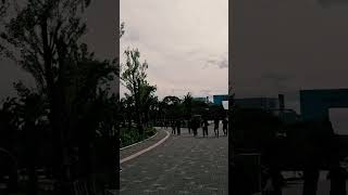 ICONIC TOKYO WALK : Odaiba Bay to DiverCity via Statue of Liberty &amp; Rainbow Bridge View  #Shorts