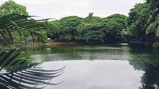 Samathi Lake Tranquility