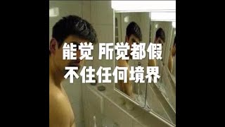 201811 能觉 所觉都假 不住任何境界50850