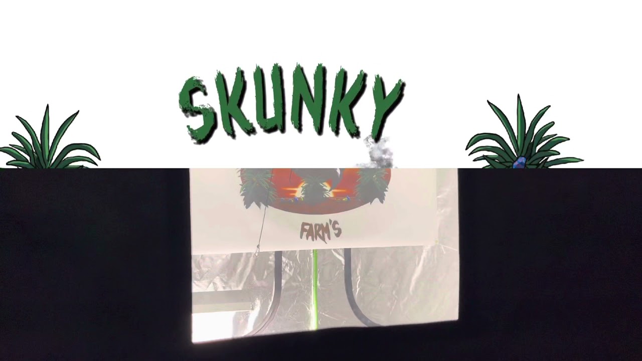 UPDATE!!!!! Skunky Farm LLC.