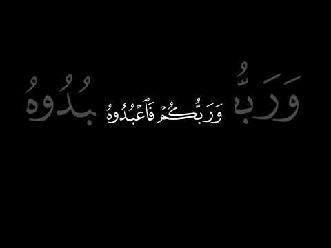 كرومات قران كريم فضيلة الشيخ ماهر المعيقلي 