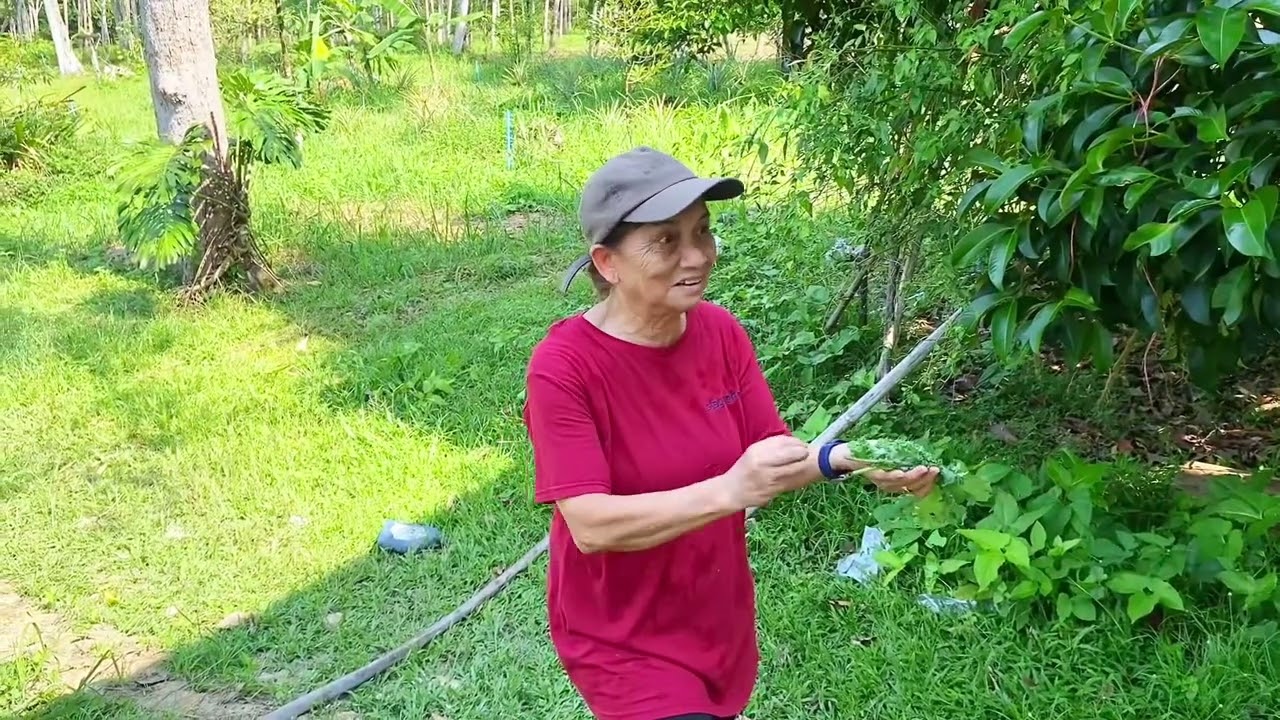 การศึกษาเรียนรู้ ศูนย์การเรียนรู้เศรษฐกิจพอเพียง ณ สวนหนูดีพรหมคีรี จังหวัดนครศรีธรรมราช