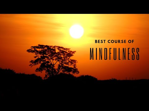 Mindfulness || Best Mindfulness Course for You