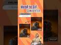 How To Convert WebP to GIF in Just One Click!
