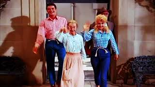 The Beverly Hillbillies Song Parody Remix