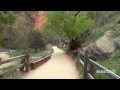 Riverside Walk, Zion National Park (HD)