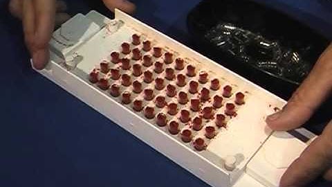 Healthy Living: How to cap your own supplements with CapMQuick