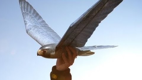 Robirds Falcon Drone robotic birds Clear Flight Solutions