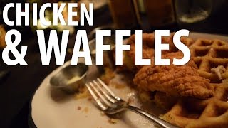 CHICKEN & WAFFLES
FOLLOW ALL THE PALS IN THIS VID:
https://www.youtube.com/user/barelifenutrition
https://www.youtube.com/channel/UCif2BDGMHp_RbqbwjypPxig
https://www.youtube.com/user/CampbellFitnessTV
https://www.youtube.com/user/styler5757
Thanks for watching! If you enjoy it, Like, Share and Subscribe, and follow me at:
http://instagram.com/beeeeeeeeech
https://twitter.com/beeeeeeeeech
Want to train for the Highland Games, Strongman, or become a better athlete overall? Check out Team Training Lab:
http://www.teamtraininglab.com/
Check out apparel and other cool stuff (which you will see me wearing a lot) through the business Matt Vincent and I own together, HVIII Brand Goods:
http://www.thehviii.com
Check Matt out at:
https://www.youtube.com/user/mvincent4130
Music by Chris Alonzo:
https://soundcloud.com/chris-alonzo CHICKEN & WAFFLES