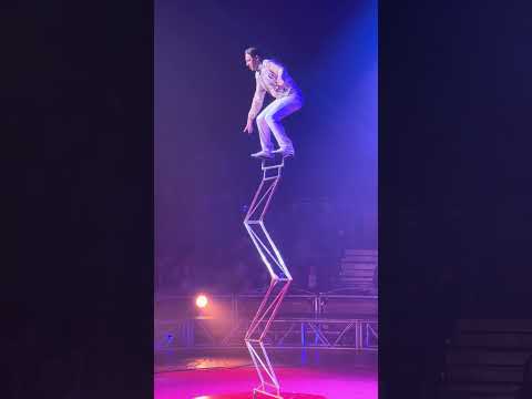 Circus Vargas insane