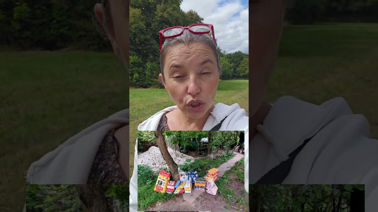 Помощь Украине