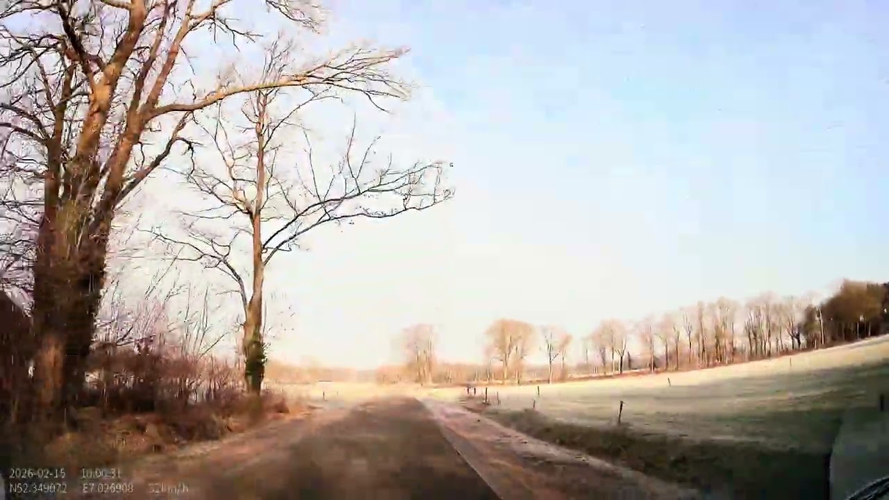 Sun Through The Pines - Relaxing Drive Through De Lutte Forest،4K,آفتاب از لای درختان کاج - 