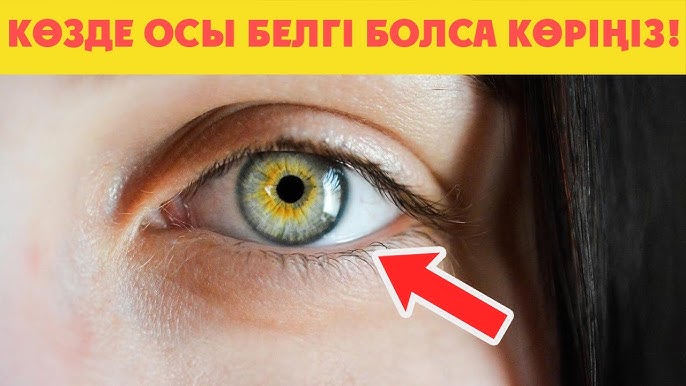 Жезөкшелер үйлеріндегі бейнелер Менің әйелім іссапарға барады