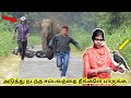 கேமராவில் சிக்கிய தரமான சம்பவங்கள்  | Amazing videos caught on Camera  |  தமிழ் info  | Tamil