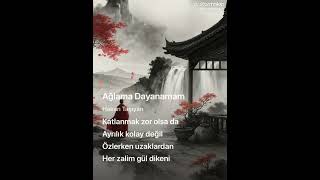 Ağlama Dayanamam Sevgilim