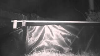 Amphibians at the Edge of the Road: Testing the effectiveness of fencing.