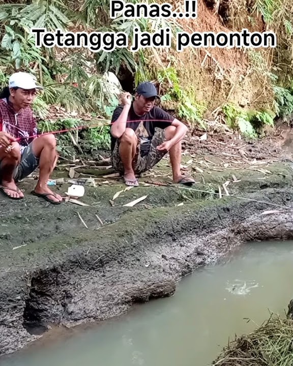 mancing nilem di selokan #shorts