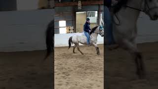 Bareback jumping edit! #tfcaptinslilly #barrelhorse
