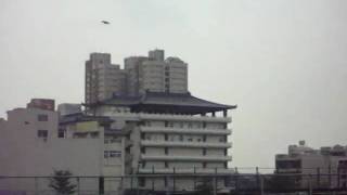 鸚鵡~黑頭乙女飛行秀990725~42