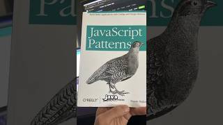 Os problemas do Javascript ter sido criado em 10 dias!