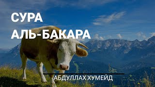 Сура 2 "Аль-Бакара" • Абдуллах Хумейд (1-48)