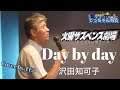 Day By Day 沢田知可子 Cover By TE2