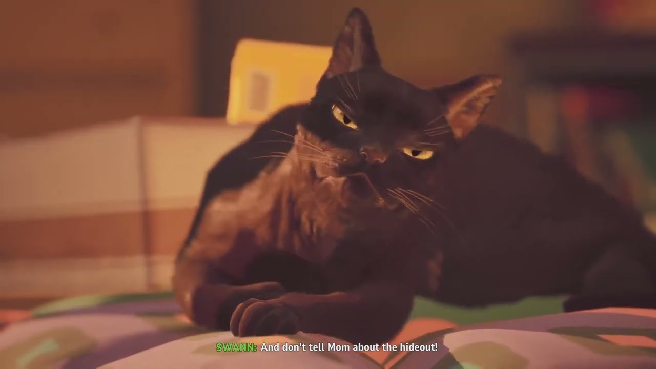 Lost Records: Bloom and Rage Swann's cat noises 3