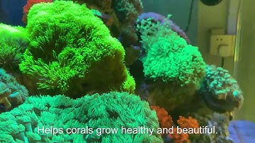 SMATFARM Aquarium Light g3 your aquarium lighting partner!