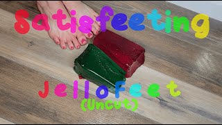 Satisfeeting Jello Feet Uncut - Redgreen Towers