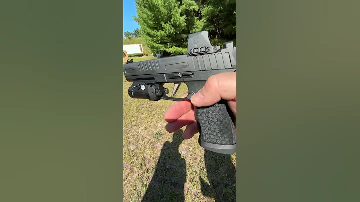 Shooting the SIG SAUER P365 FUSE (Which is your favorite P365 Model?)