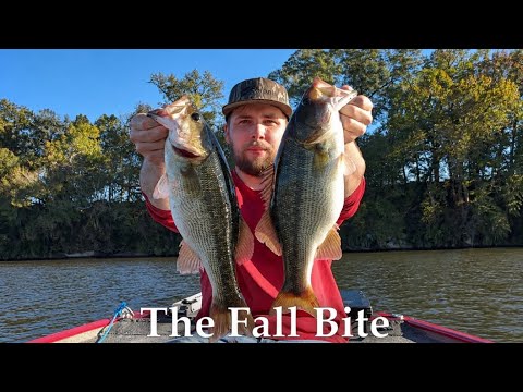 FALL BASS FISHING IS HERE!