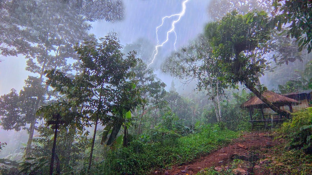 Walking in the Heavy Rain and Heavy Thunderstorms in the Forest ...