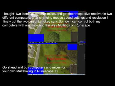 MultiBoxing on Runescape