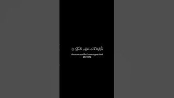 كروما شاشة سوداء قرآن كريم 🍀 علي جابر 🍀 سورة الإسراء  #اكسبلور #تلاوة_هادئة #راحة_نفسية
