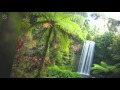 Clive Lendich - Rainforest Rendezvous (album)(HQ Audio)