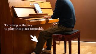Waltz No 1 Op 6 Collapse creating The Sheet   Hikaru Shirosu