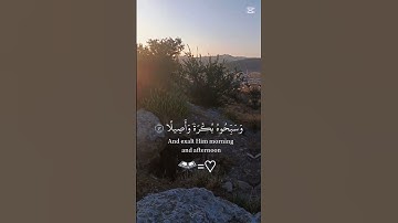 سوره الاحزاب القران الكريم بصوت جميل #القرآن_الكريم #المصحف #اكسبلور