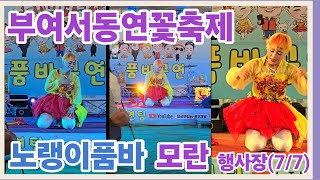 #모란 노랭이품바✨️부여 궁남지 연꽃축제✨️